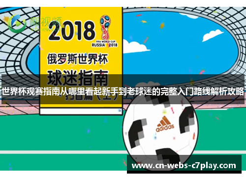 世界杯观赛指南从哪里看起新手到老球迷的完整入门路线解析攻略